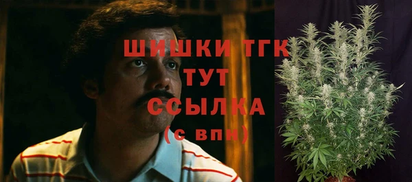 шишки Карпинск