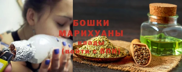 шишки Карпинск