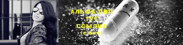 шишки Карпинск