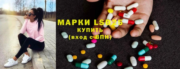 шишки Карпинск