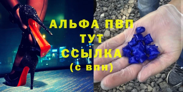 шишки Карпинск