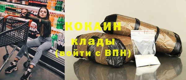 шишки Карпинск