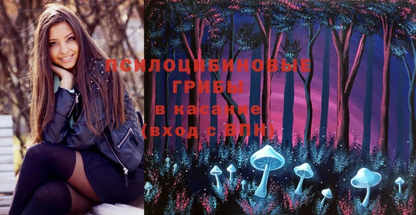 прущие крисы Каменск-Шахтинский