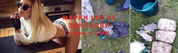 шишки Карпинск