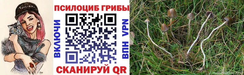 Галлюциногенные грибы мицелий  Купить закладки  Верхняя Тура 